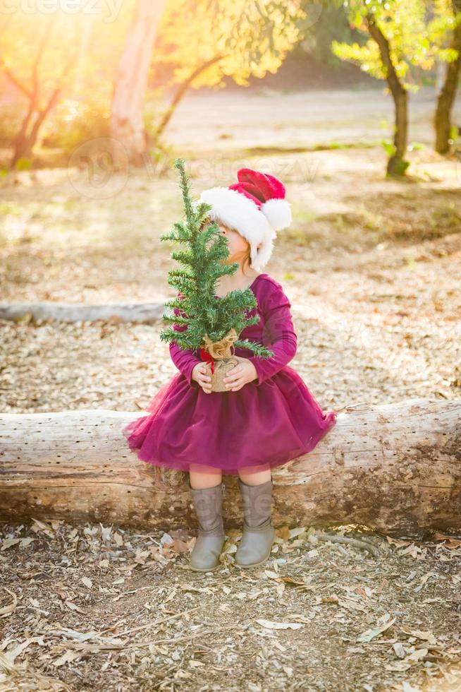 carino misto gara giovane bambino ragazza avendo divertimento con Santa cappello e Natale albero all'aperto su log foto