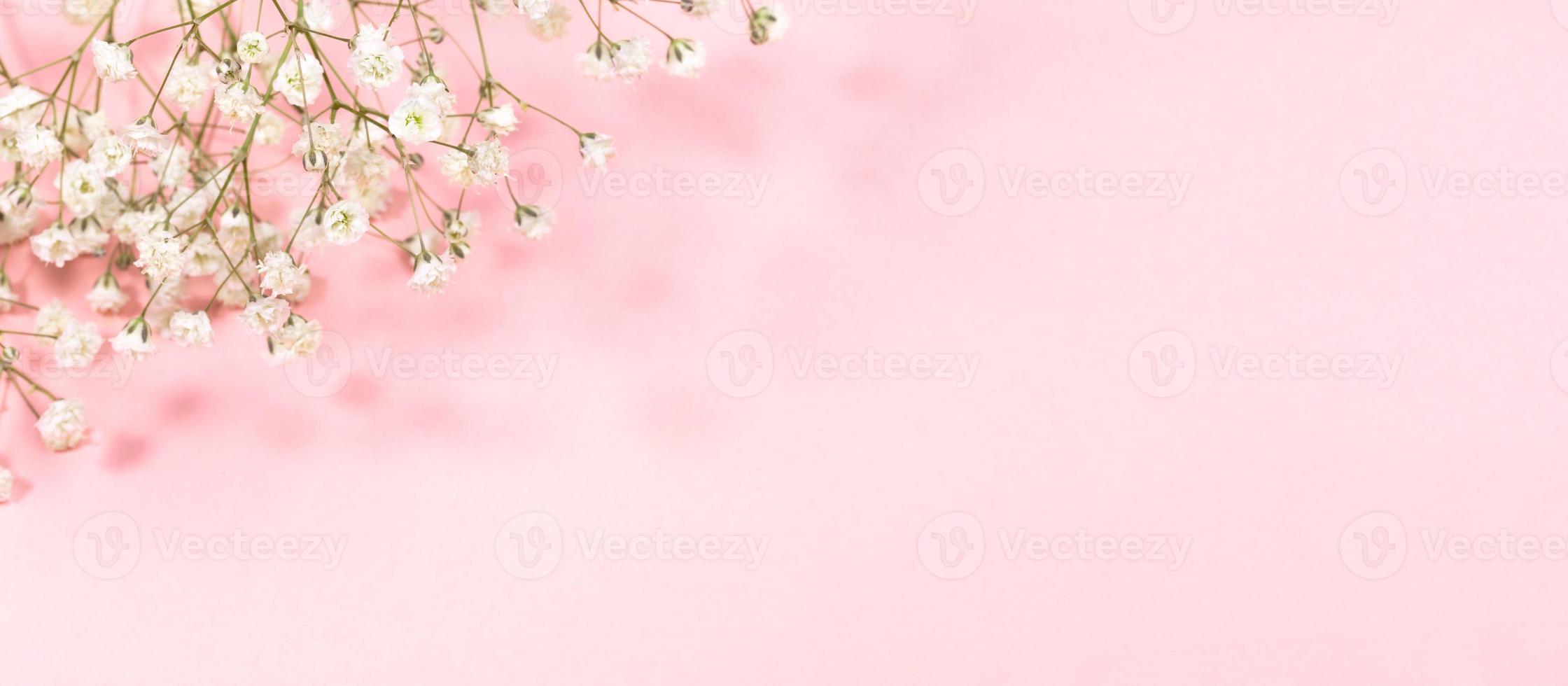 pastello rosa festivo bandiera con dolce bianca gypsophila fiori. copia spazio per testo. foto