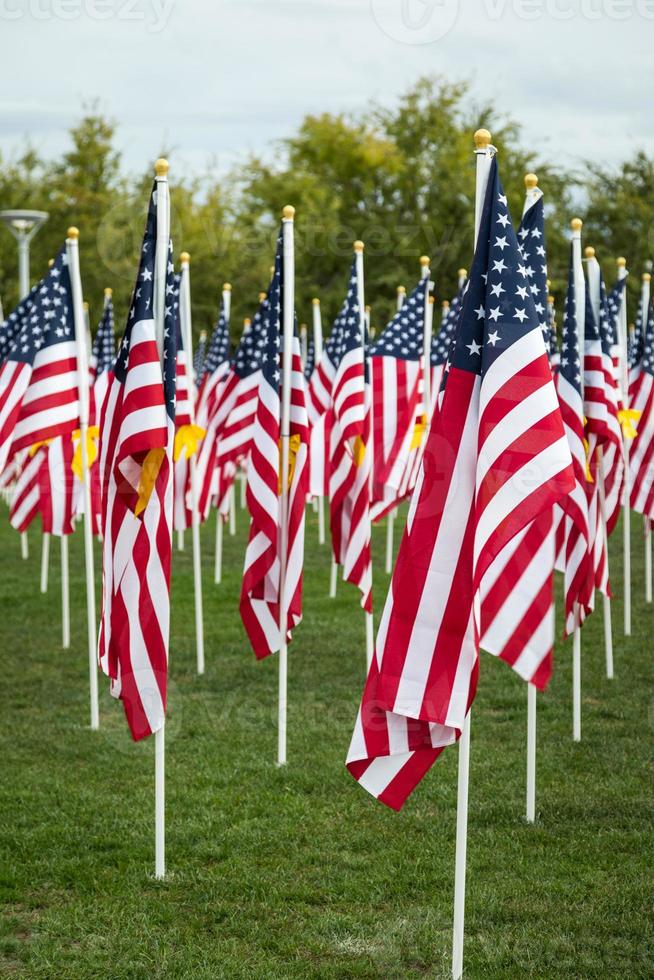 campo di veterani giorno americano bandiere agitando nel il brezza. foto