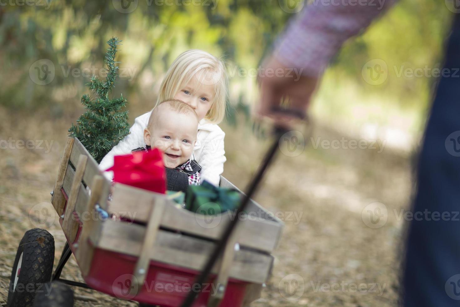 bambino fratello e sorella tirato nel carro con Natale albero foto