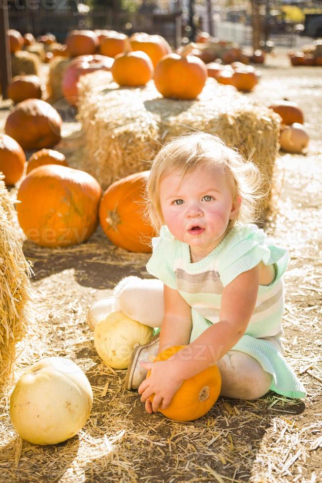 adorabile bambino ragazza Tenere un' zucca a il zucca toppa foto