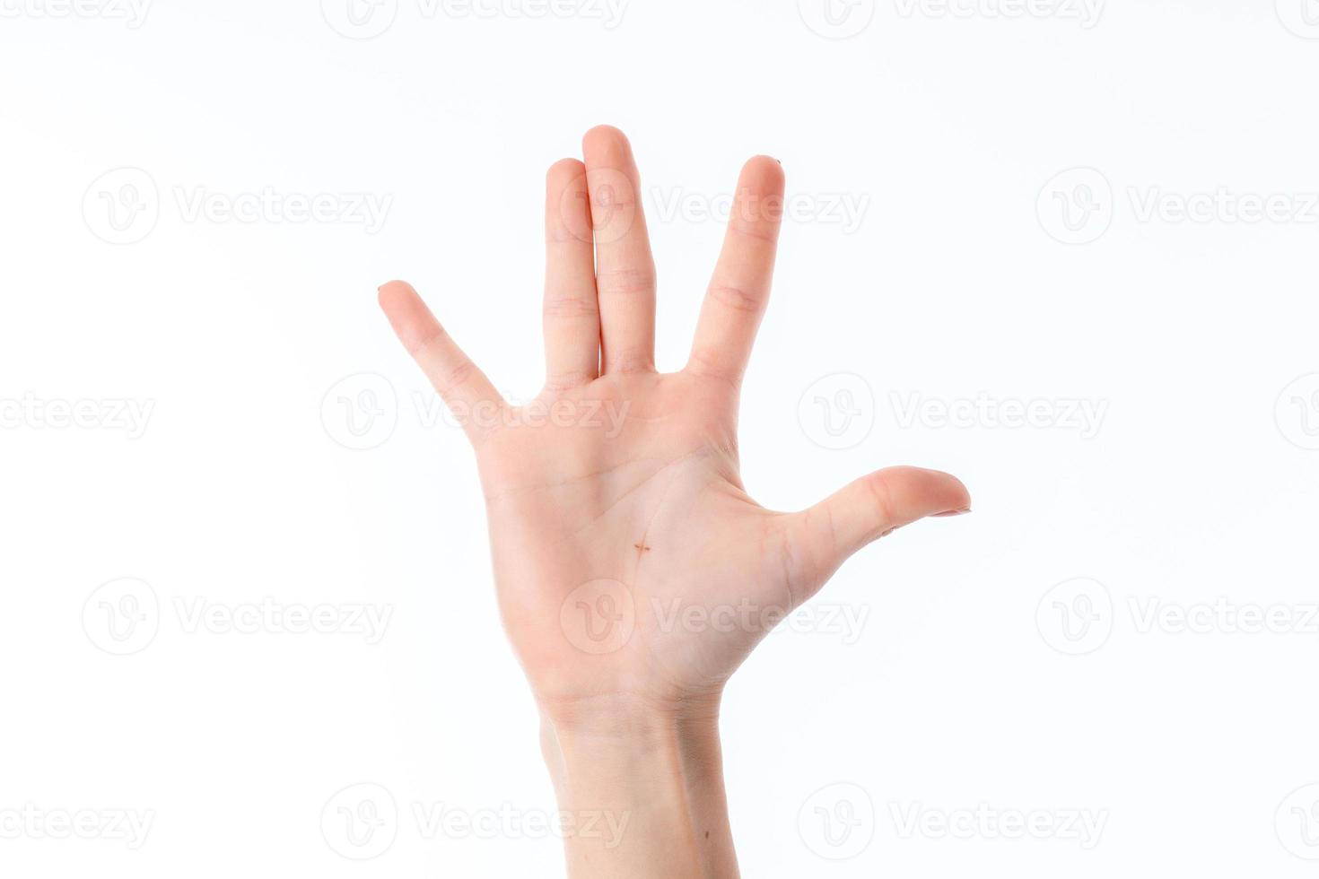 femmina mano teso su con dita sollevato e palme isolato su bianca sfondo foto