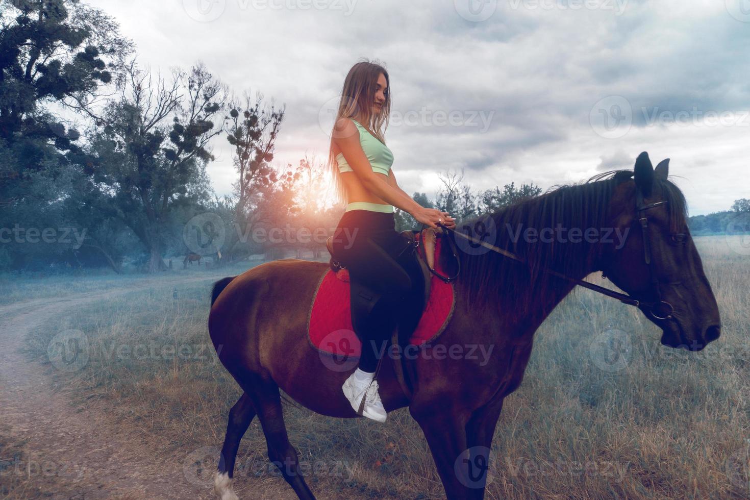affascinante signora con massaggio getti nel abbigliamento sportivo su un' cavallo foto