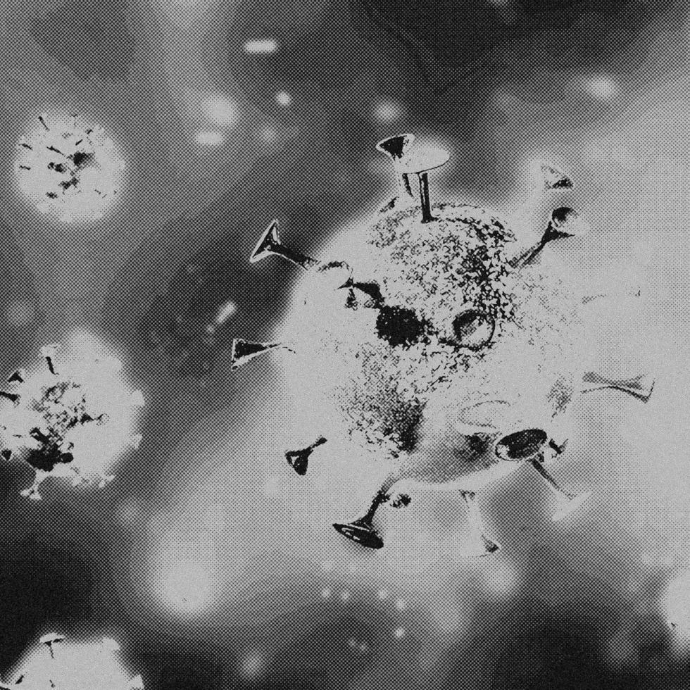 4k Immagine, virus. microscopico Visualizza di virus. cellule, nero e bianca foto