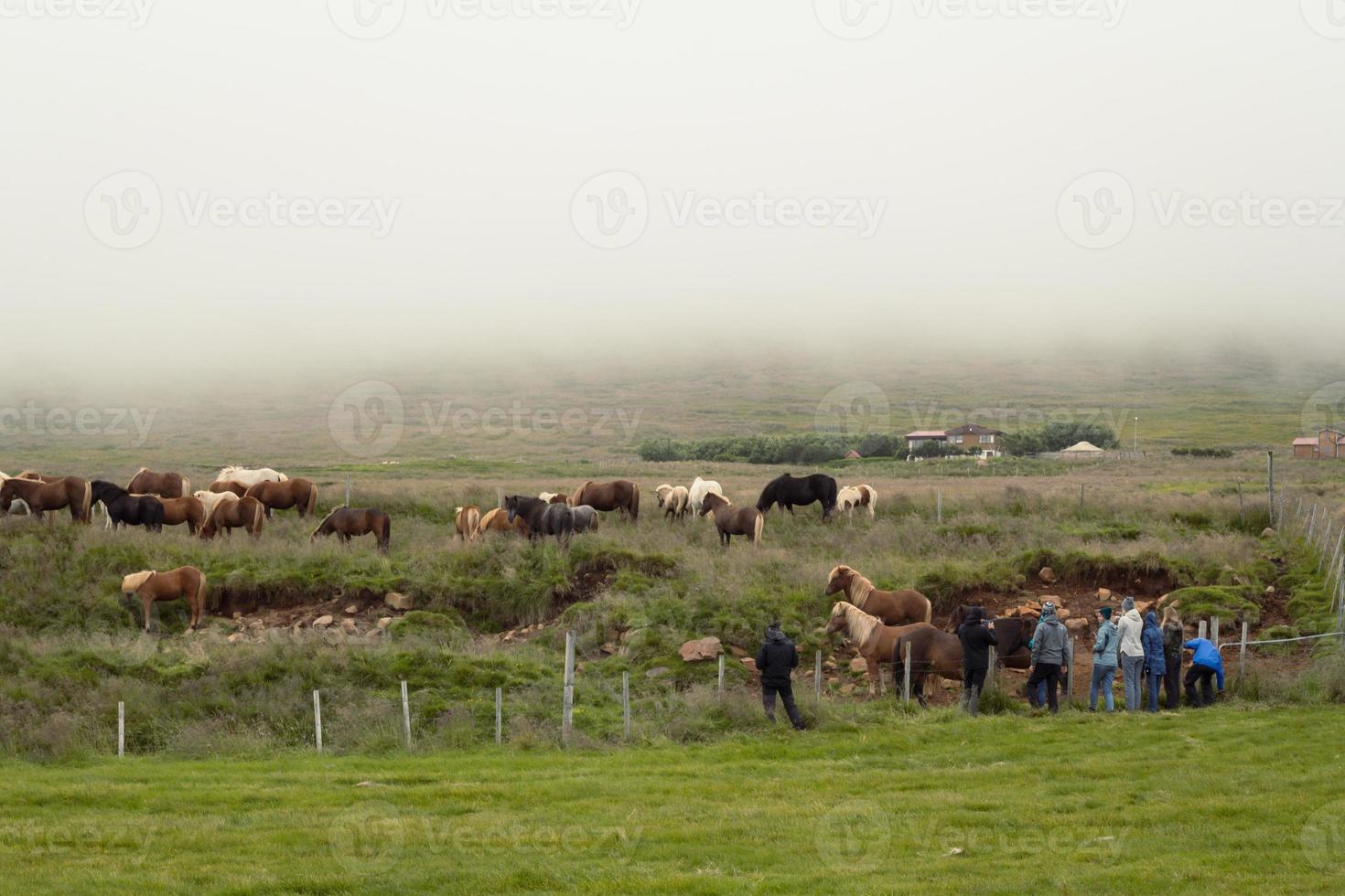 persone visitare cavallo ranch paesaggio foto