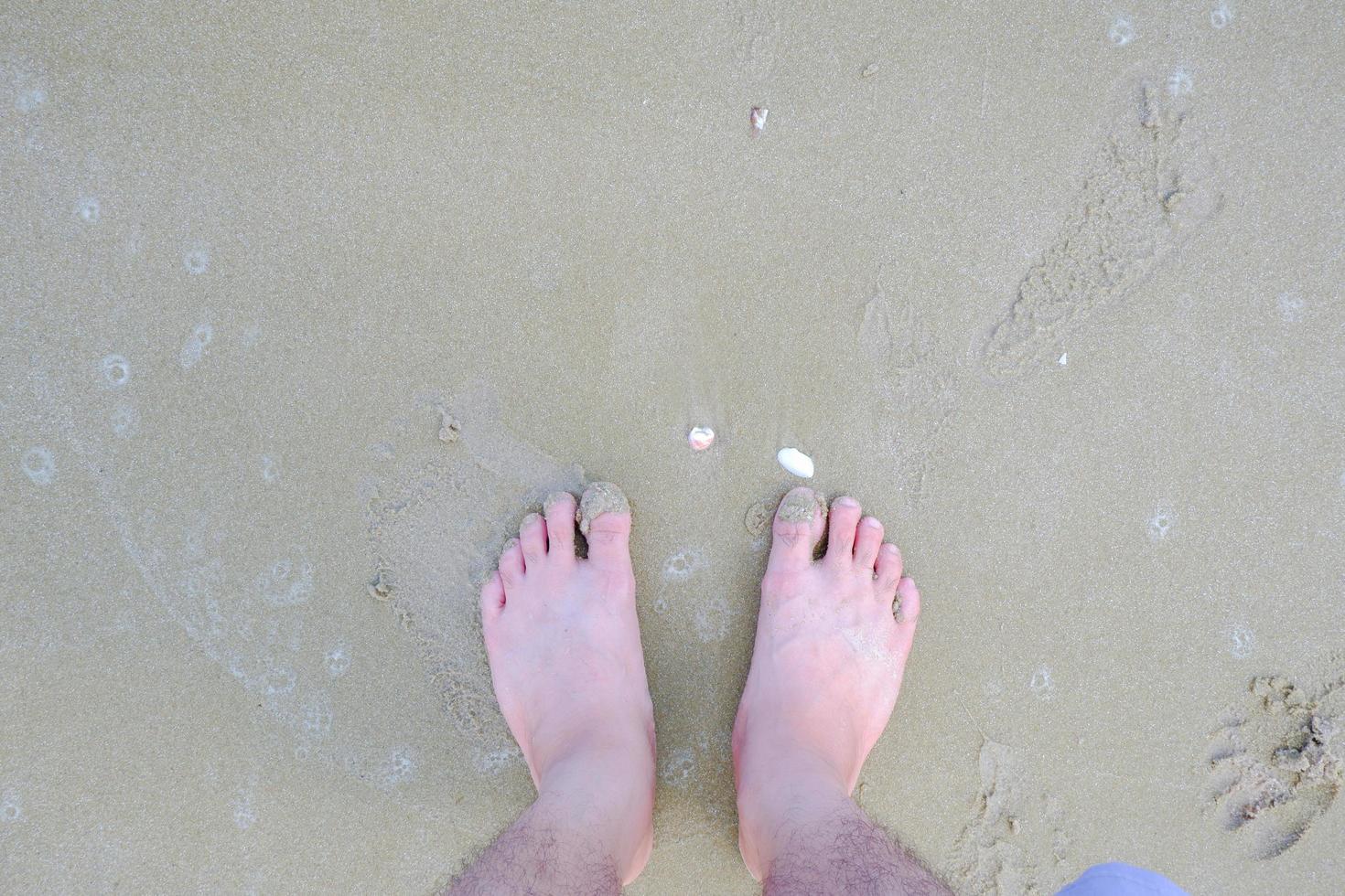 Uomini piedi in piedi su un' sabbioso spiaggia, a il riva del mare con conchiglie sepolto nel il sabbia. foto