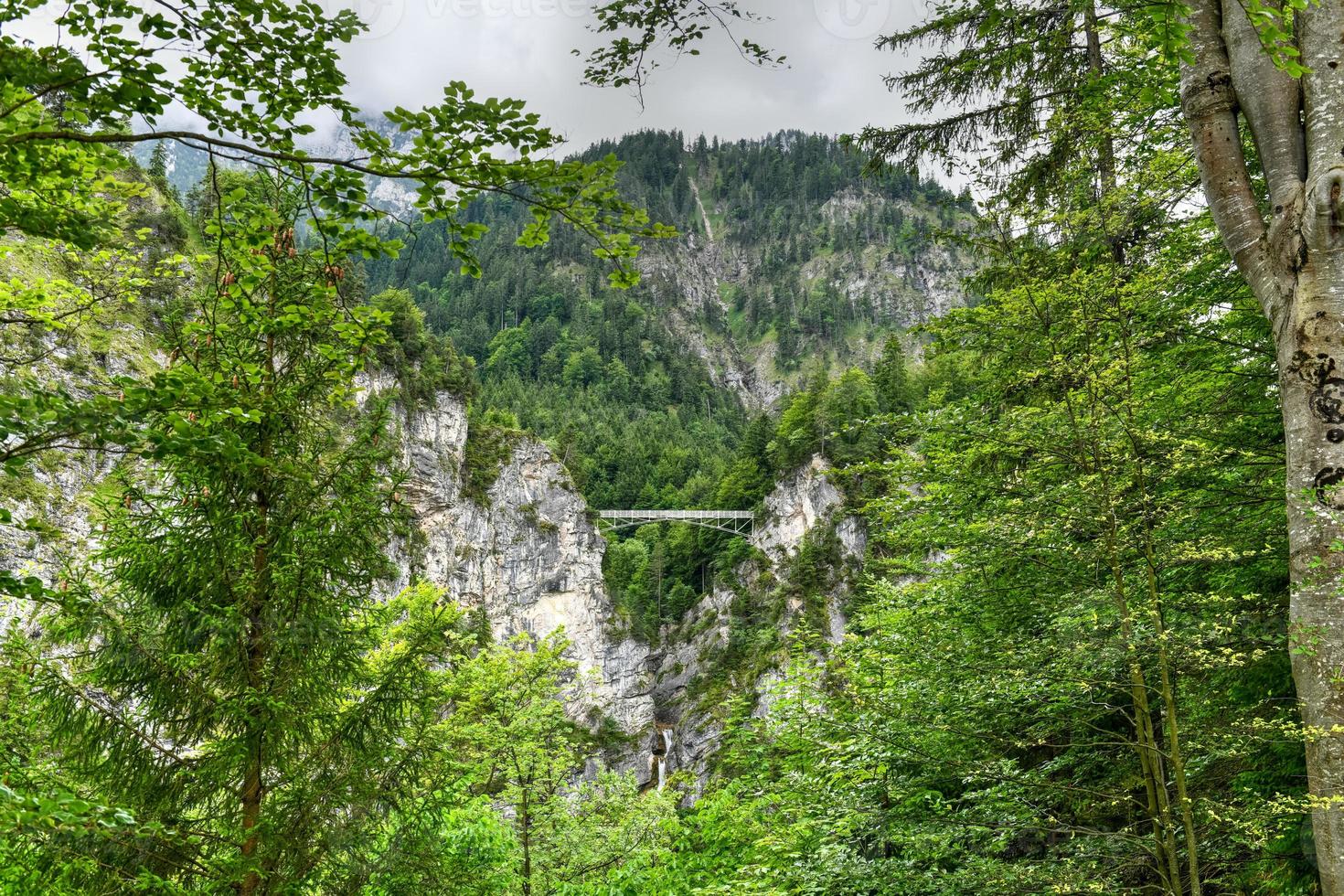 Visualizza di Regina di maria ponte a neuschwanstein castello, nel il Alpi di Baviera, Germania foto