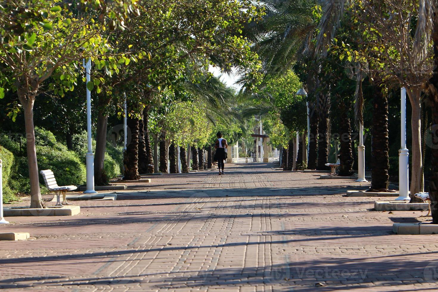 strada per pedoni nel un' città parco nel settentrionale Israele. foto