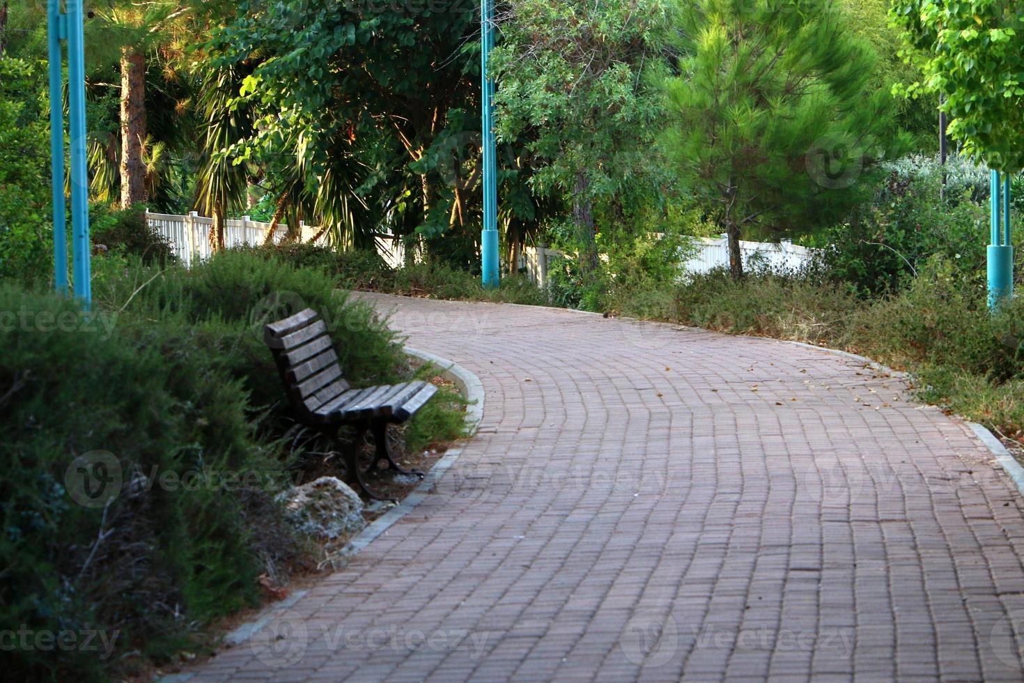 strada per pedoni nel un' città parco nel settentrionale Israele. foto