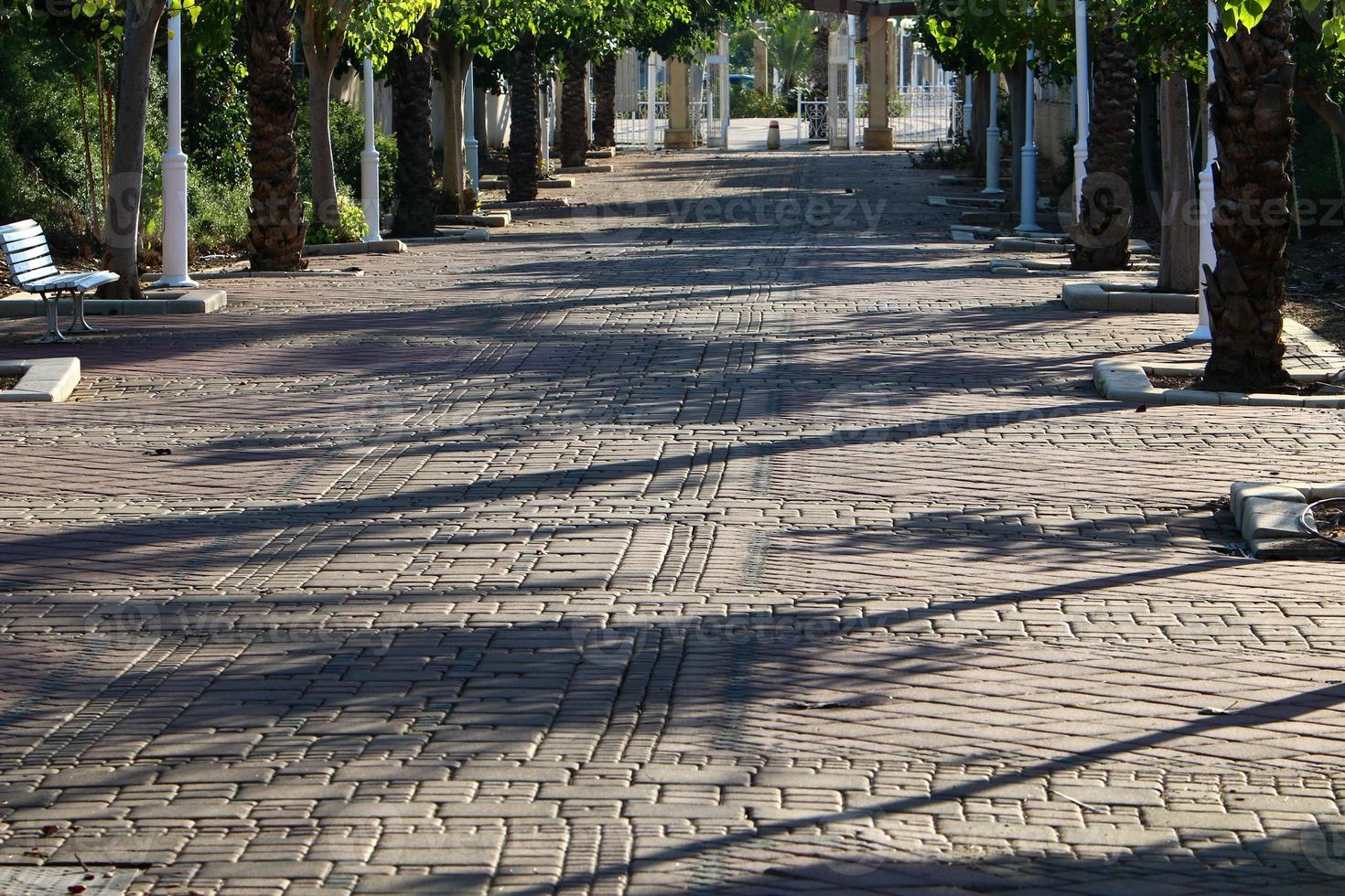 strada per pedoni nel un' città parco nel settentrionale Israele. foto