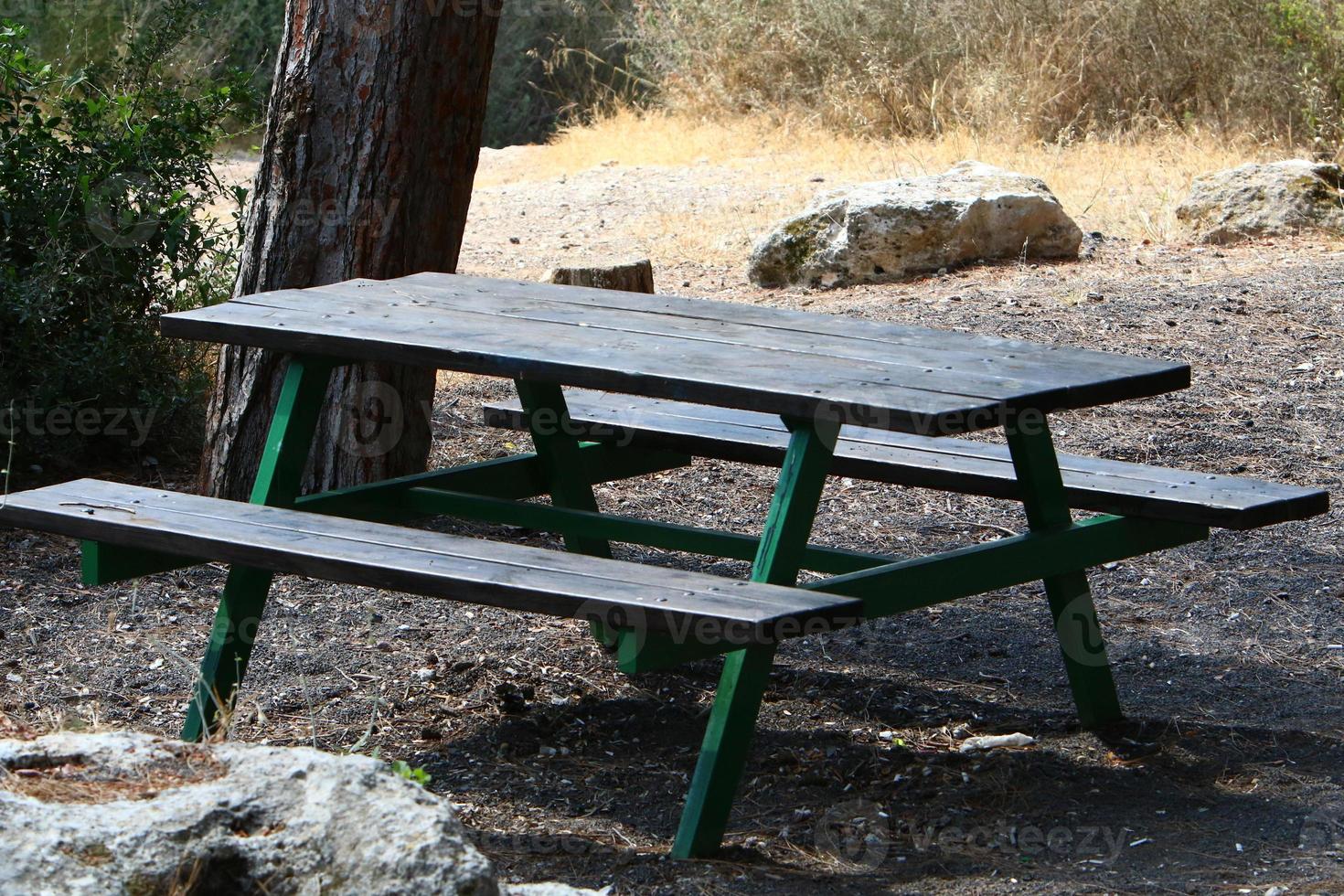 panchina per il riposo nel parco cittadino in riva al mare. foto