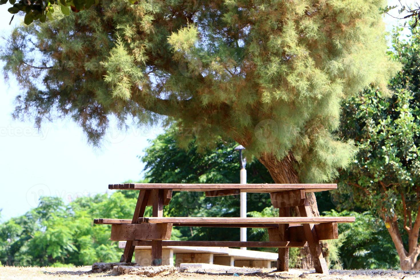 panchina per il riposo nel parco cittadino in riva al mare. foto