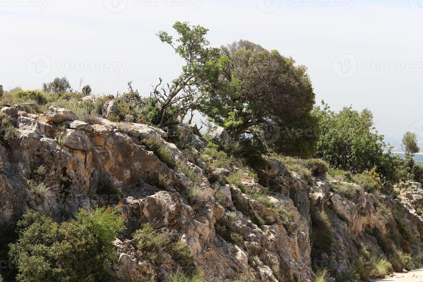 paesaggio nel il montagne nel settentrionale Israele. foto