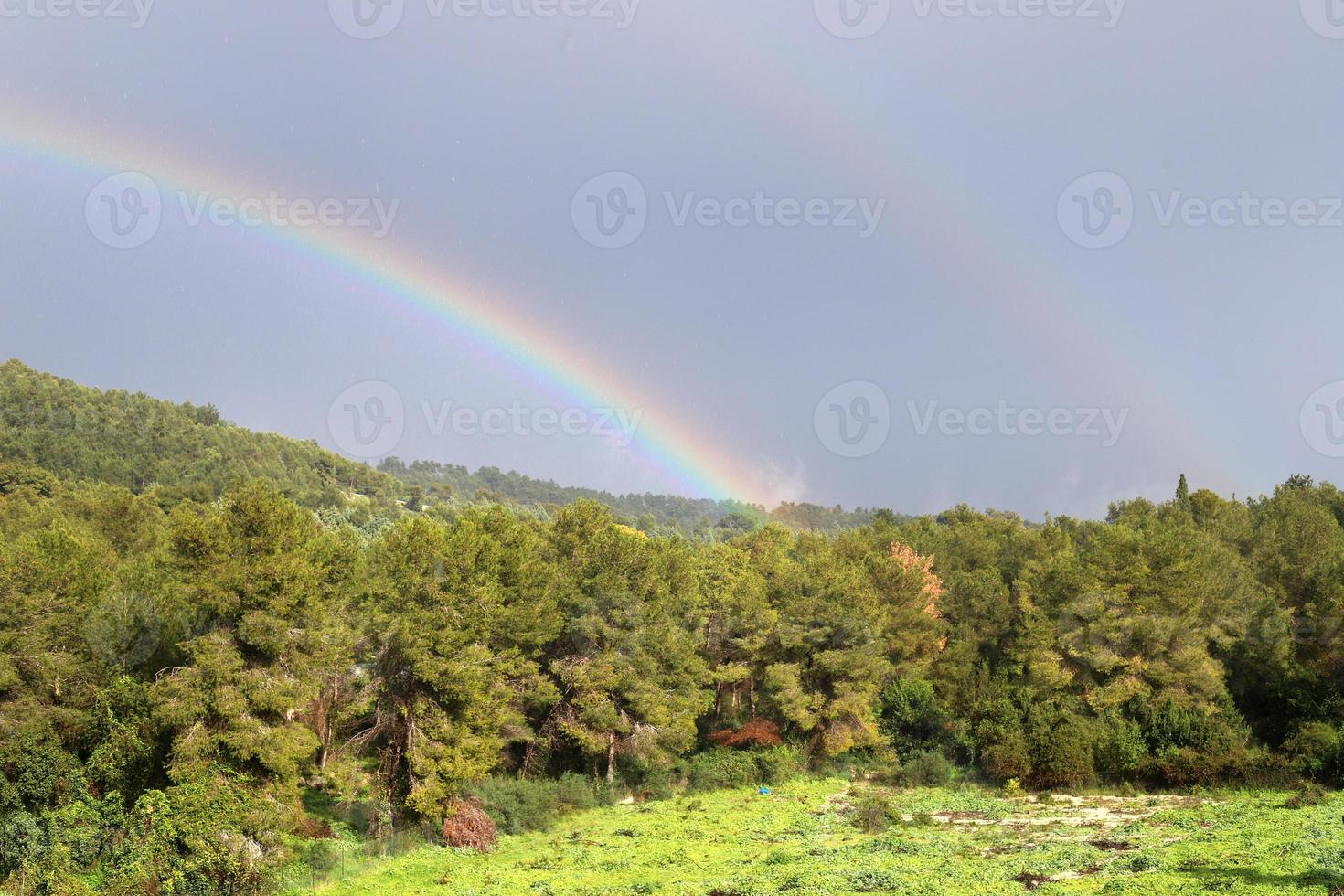 arcobaleno nel il cielo al di sopra di il foresta. foto