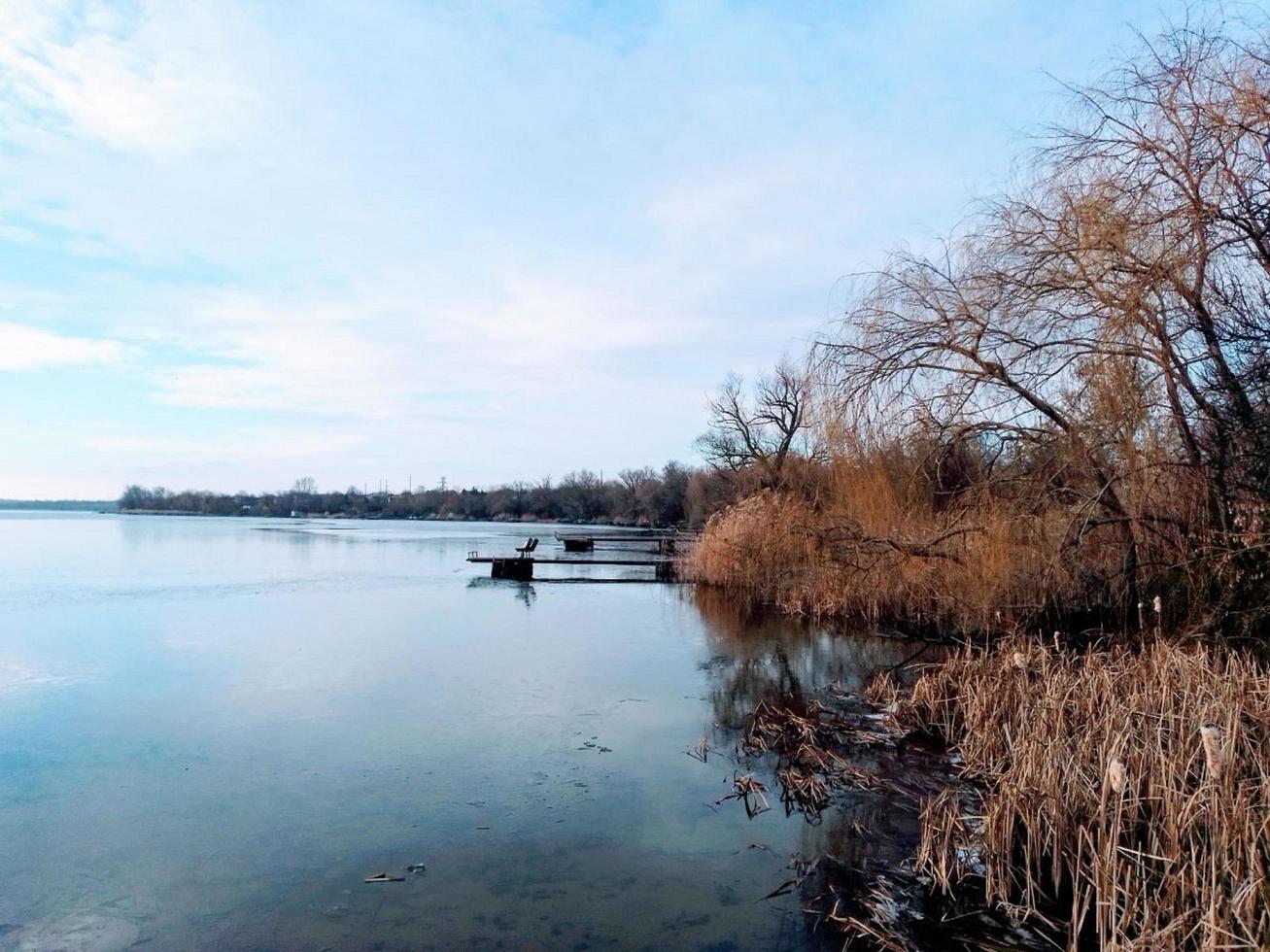 il dnieper fiume con canna boschetti e costiero alberi. Ucraina foto