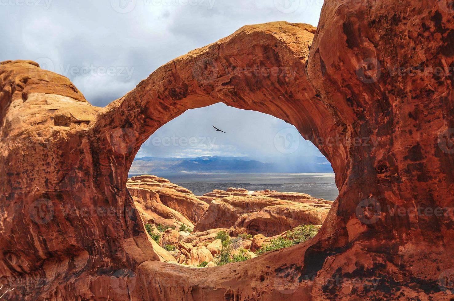 uccello volante attraverso superiore di Doppio o arco foto