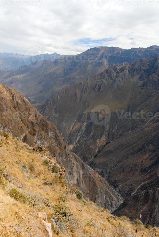 colca canyon, Perù panorama foto
