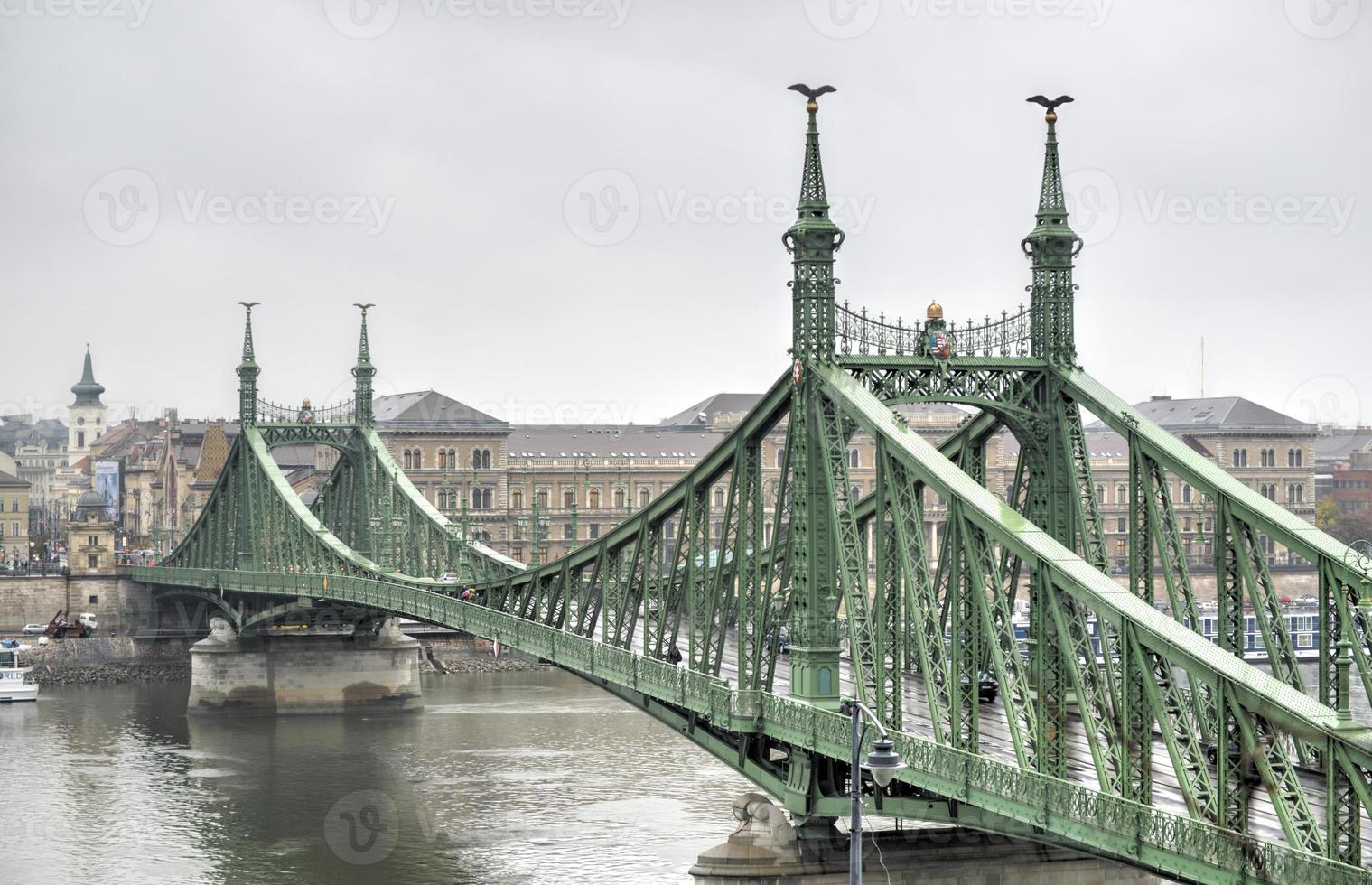 libertà ponte - budapest, Ungheria foto