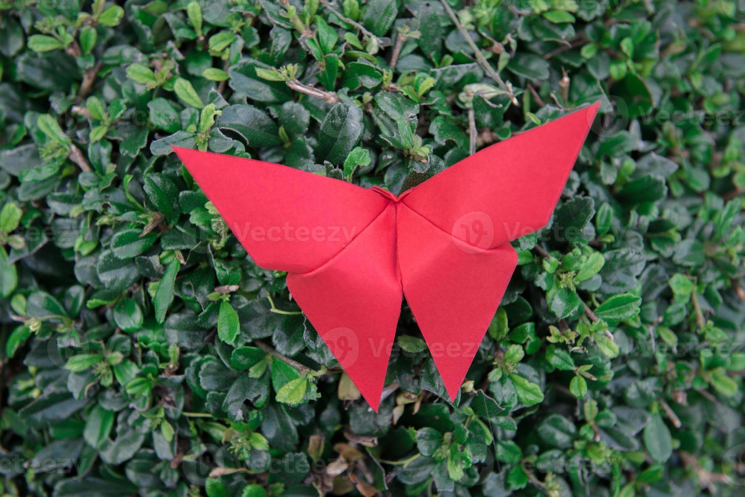 farfalla origami con natura foto