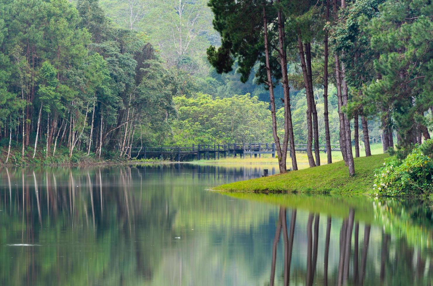 natura paesaggio a mattina di laghi e pino foreste foto