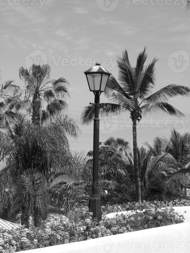 isola di tenerife in spagna foto