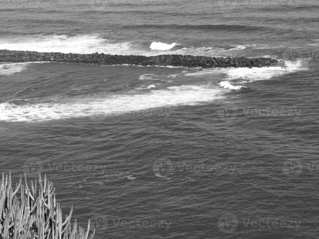 il isola di tenerife foto