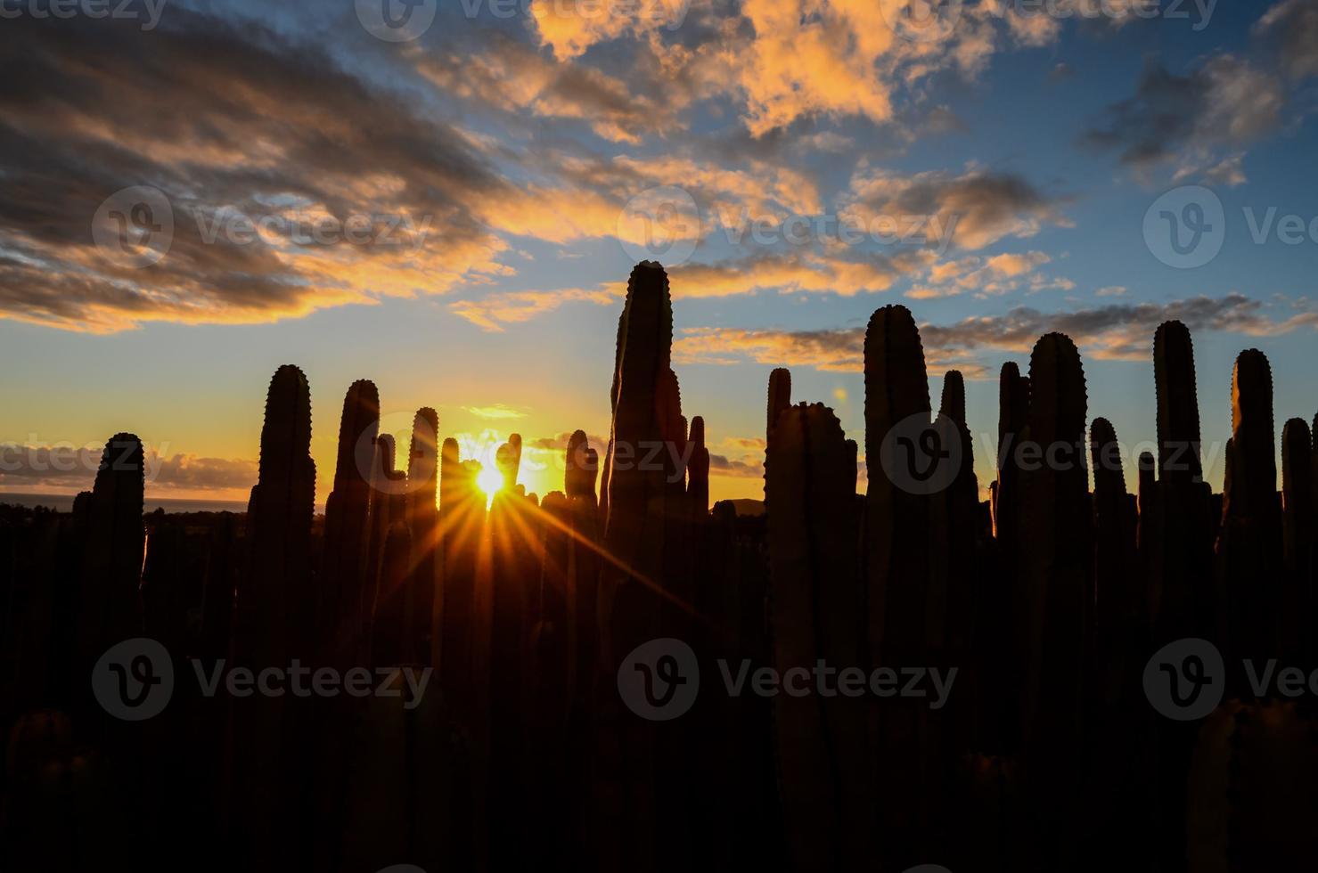 deserto Visualizza al di sopra di il tramonto foto