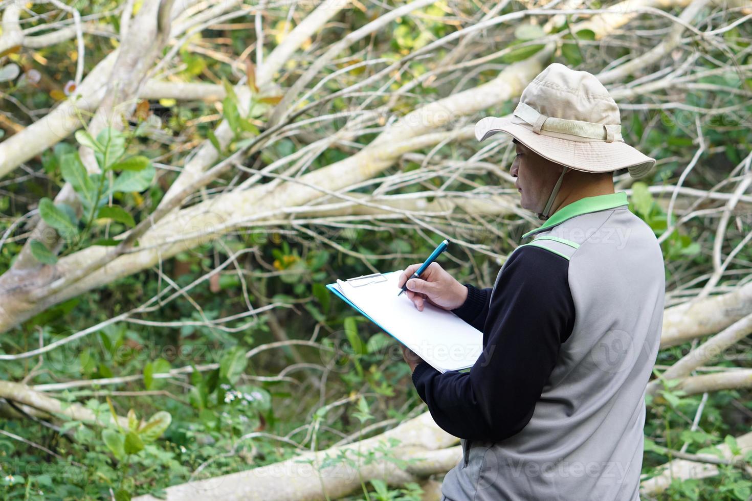 asiatico uomo botanico è a foresta per sondaggio botanico impianti, detiene carta clipboard. concetto , sondaggio ,ricerca botanico impianti. foresta e ambiente conservazione. foto