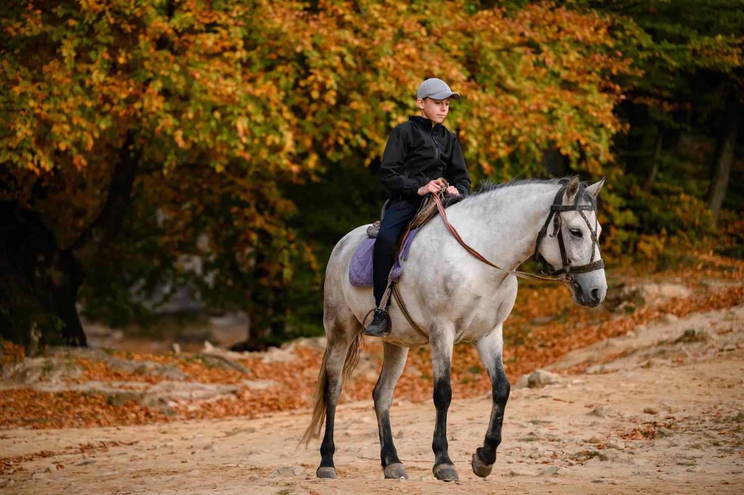 un' età scolastica ragazzo cavalcate un' cavallo nel il colomba roccia parco nel Ucraina. foto