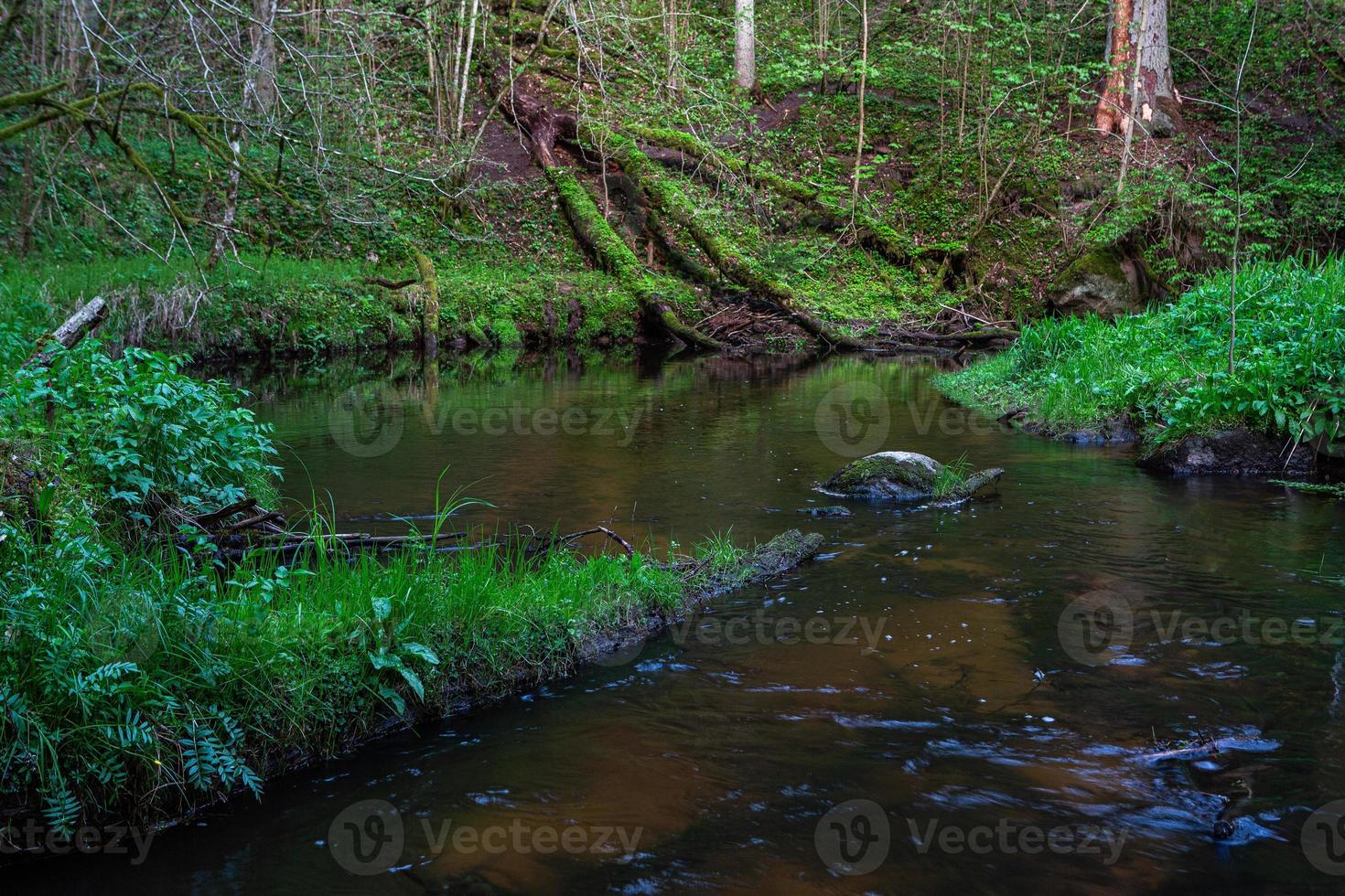 un' piccolo foresta ruscello con arenaria scogliere e pietre foto