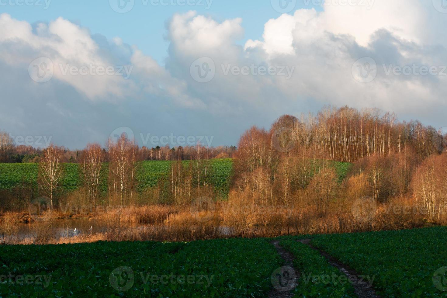 naturale autunno paesaggi nel Lettonia foto