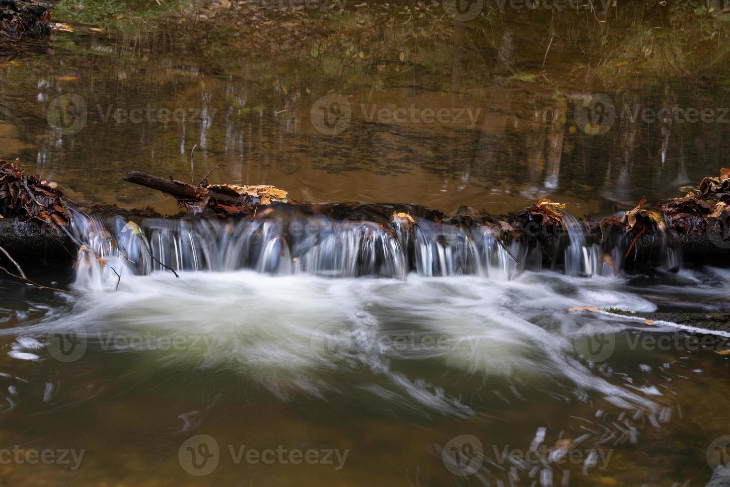 piccolo foresta fiume con pietre foto