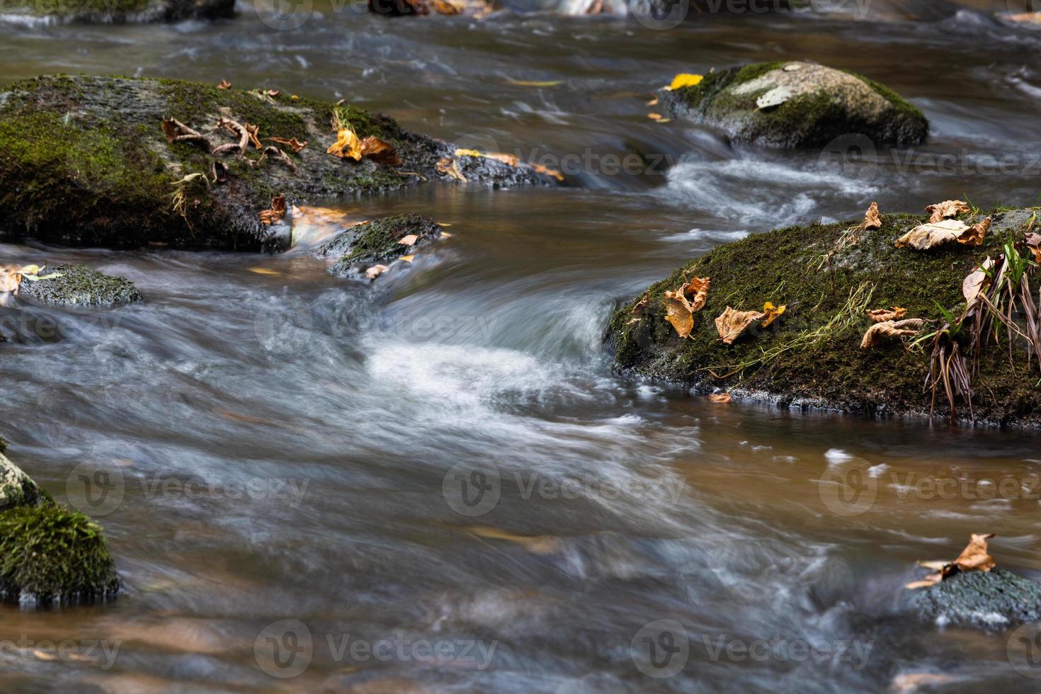 piccolo foresta fiume con pietre foto