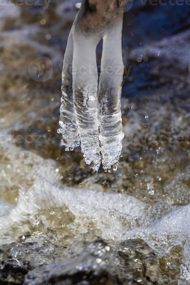 ghiaccioli nel un' piccolo foresta fiume foto