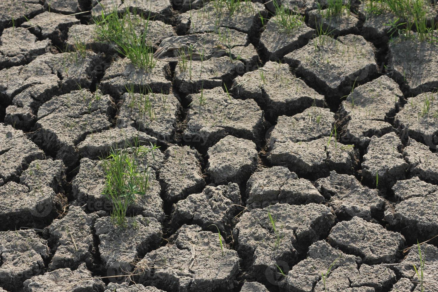 suolo siccità condizioni nel asiatico paesi foto