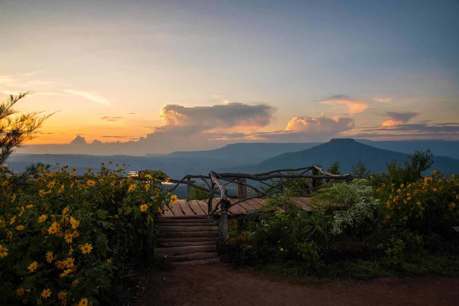 paesaggio Tailandia bellissimo Visualizza punto montagna scenario Visualizza su collina con albero calendula campo yelllow foto