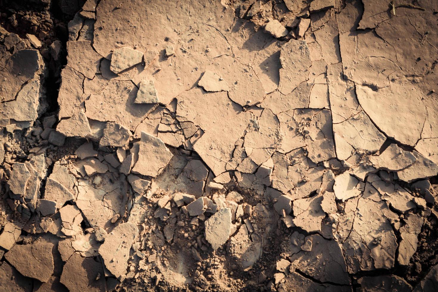 terra crepa sfondo suolo struttura e stagione asciutto fango arido terra foto