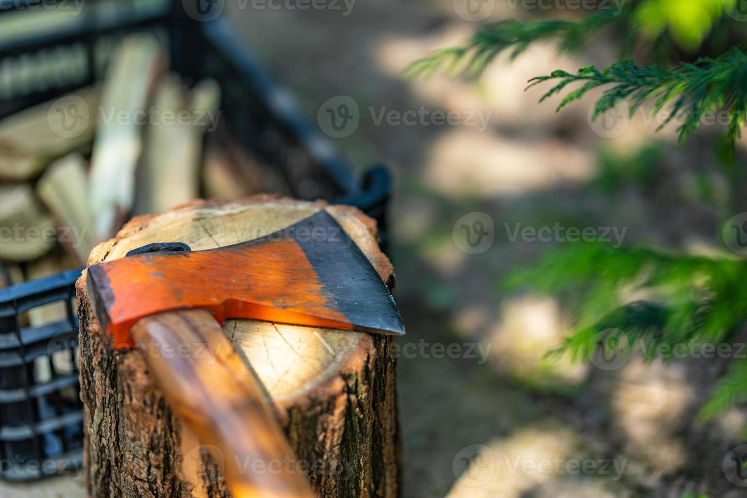 ascia nel Di legno, chopping legna da ardere, avvicinamento foto