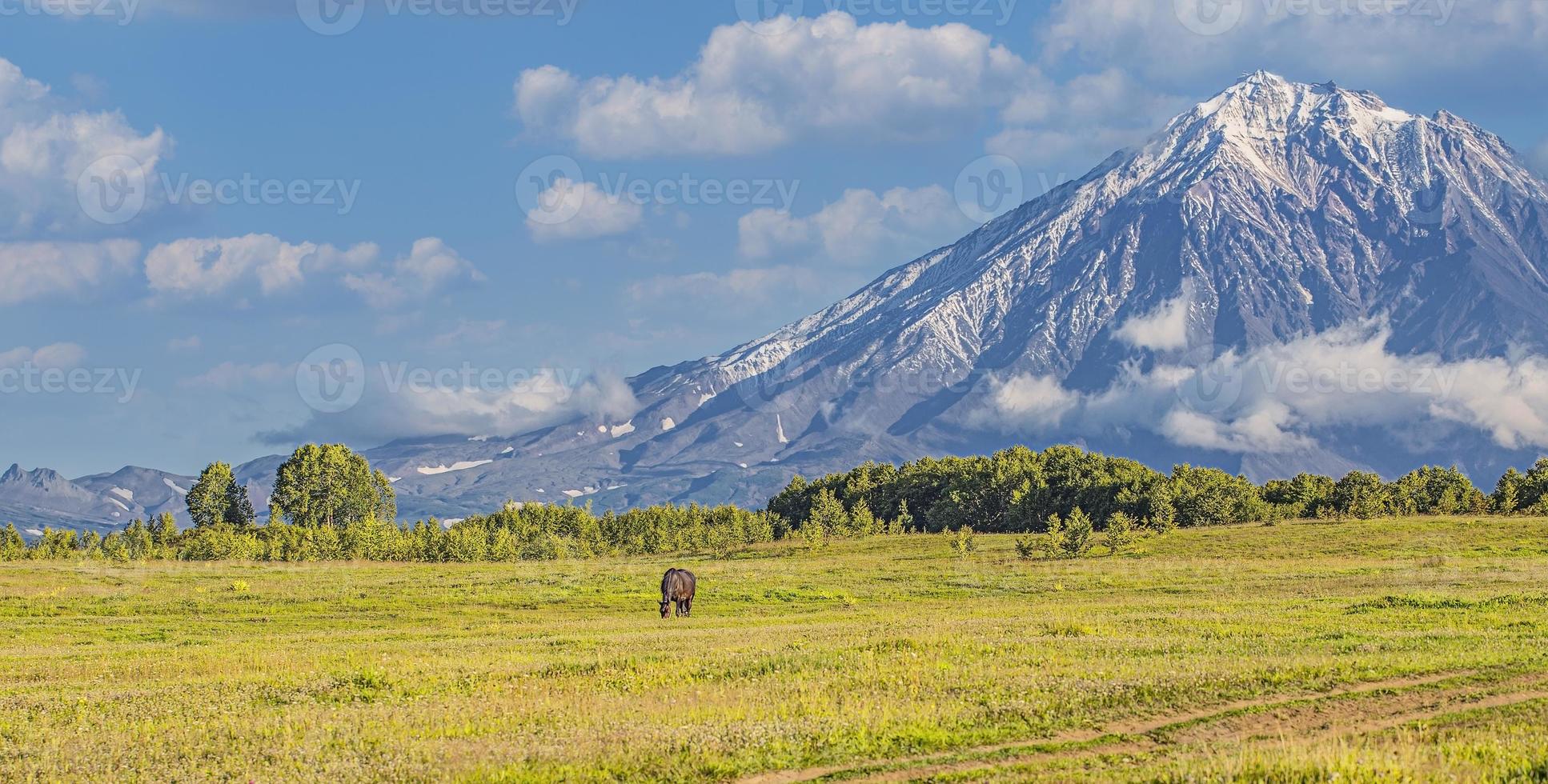 vulcano e prato con un' cavallo nel kamchatka penisola foto