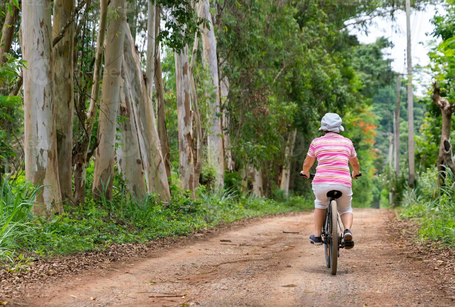 anziano attività commerciale donna, femmina, cavalcata o bicicletta montagna bicicletta nel nazione parco vicino casa cittadina per salutare esercizio nel estate fine settimana foto