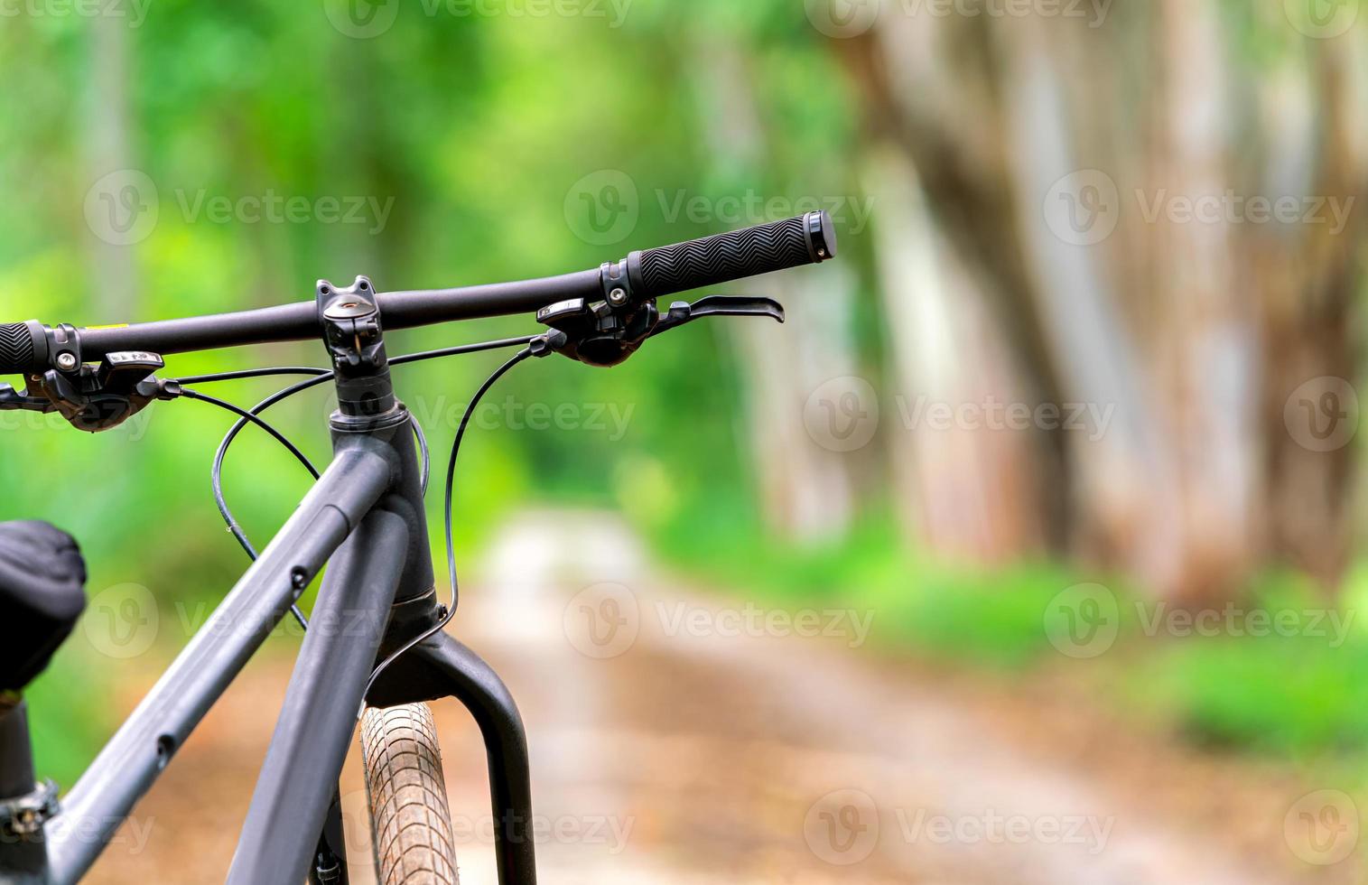 montagna bicicletta bicicletta viaggio con bellissimo campagna mezzi di trasporto strada nel natura foresta sfondo per viaggio e rilassare foto