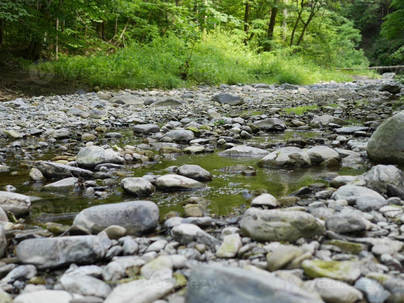 roccioso alveo e acqua, erba e alberi foto