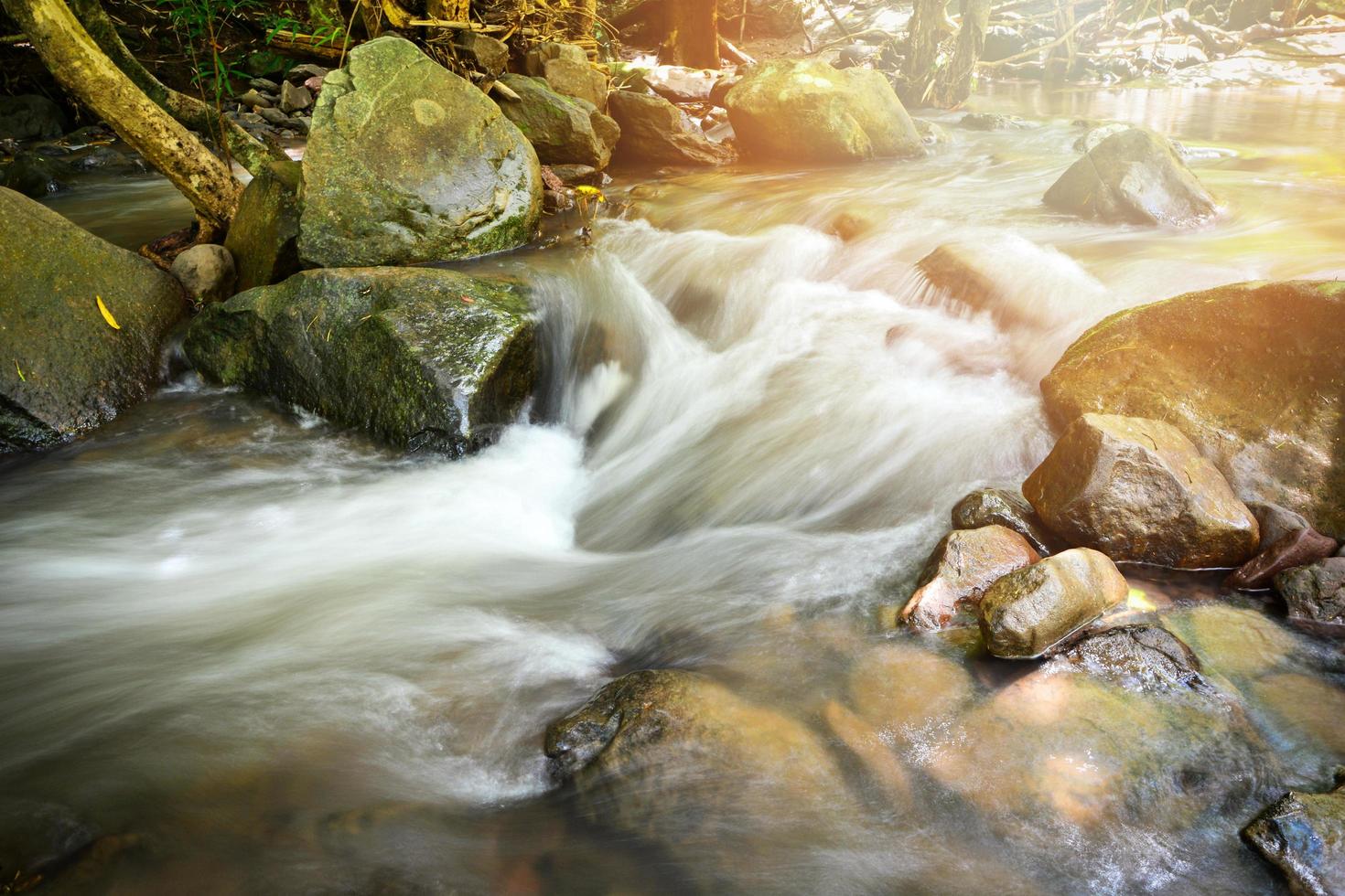 roccioso ruscello fiume piccolo cascata fluente a partire dal il montagna nel il natura pioggia foresta foto