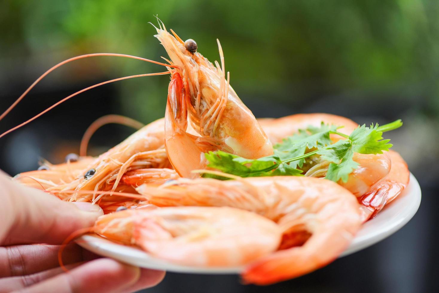 cucinando frutti di mare gamberetti gamberi servito con natura sfondo - fresco gamberetto su bianca piatto nel mano con ingredienti erba coriandolo foto