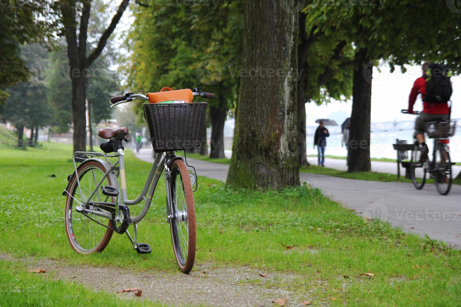 viaggio per salisburgo, Austria. un' bicicletta su un' Visualizza di un' parco, un' fiume e montagne. foto