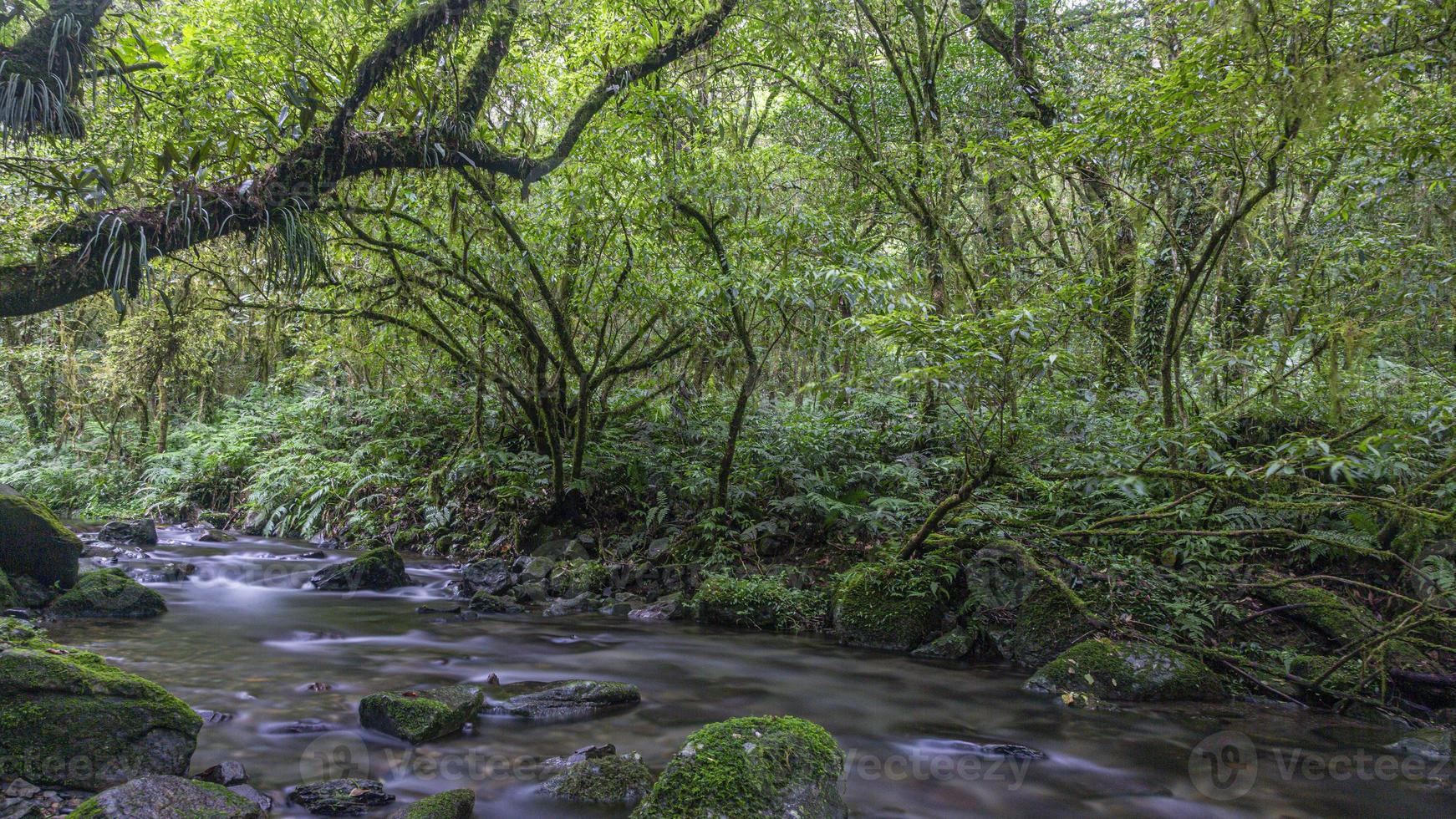 lungo esposizione panorama immagine di un' fiume fluente attraverso un' pioggia foresta su il isola di Taiwan durante giorno foto