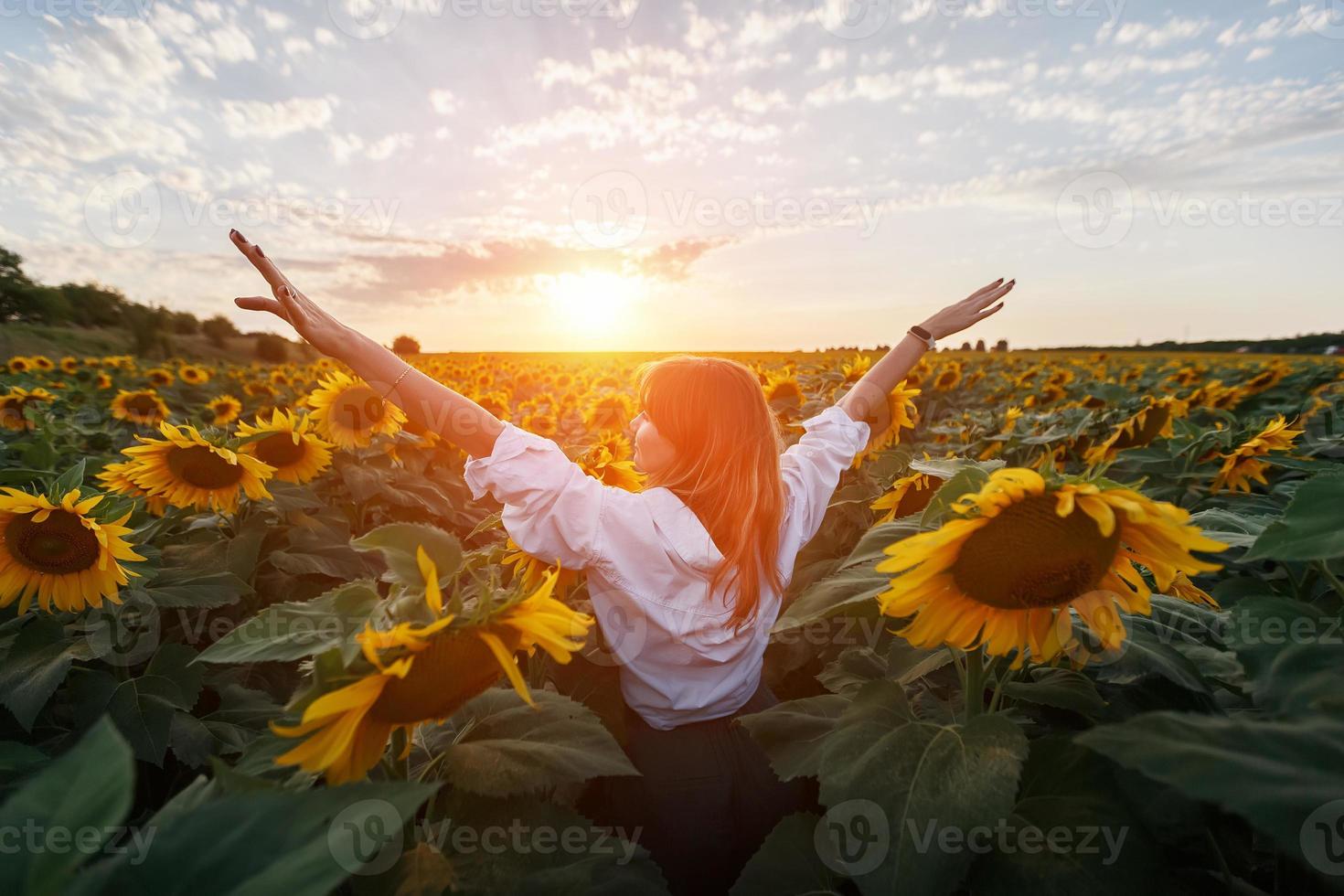 posteriore Visualizza di un' giovane ragazza nel il mezzo di un' rurale la zona di girasoli a tramonto. foto