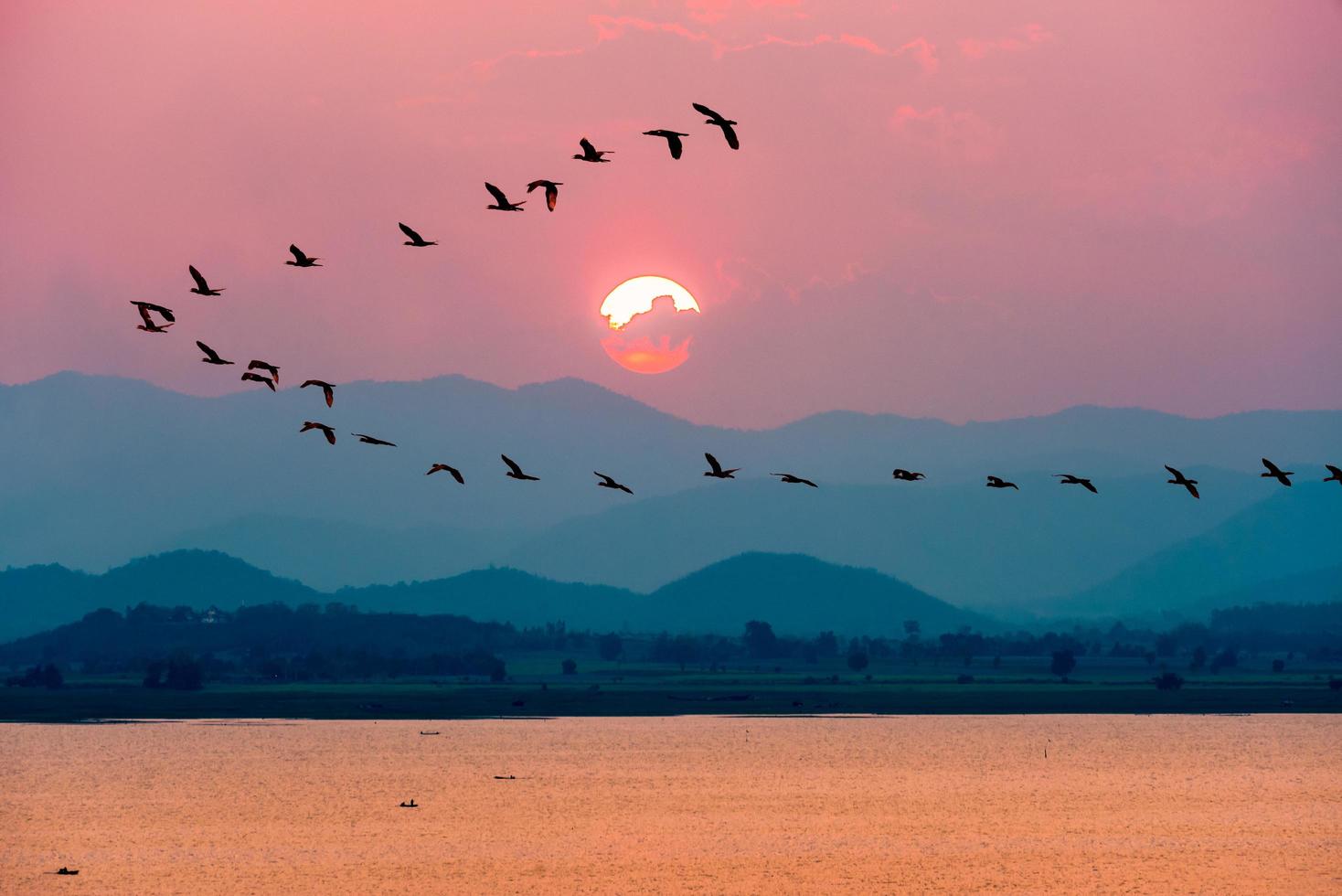 uccelli volante al di sopra di lago durante tramonto foto