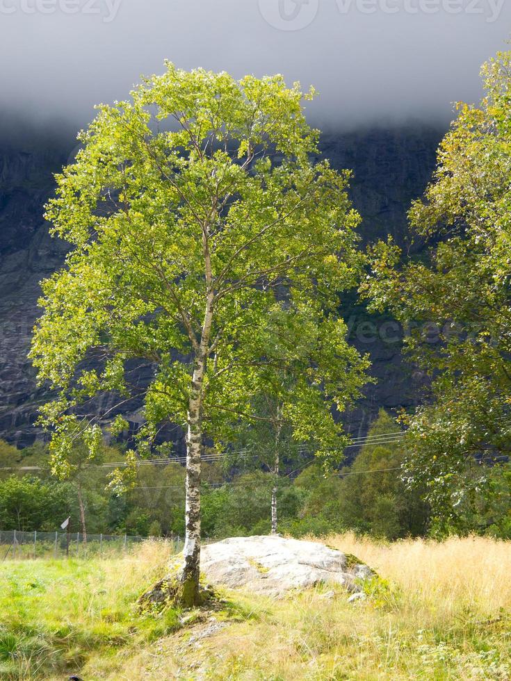 il fiordi di Norvegia foto