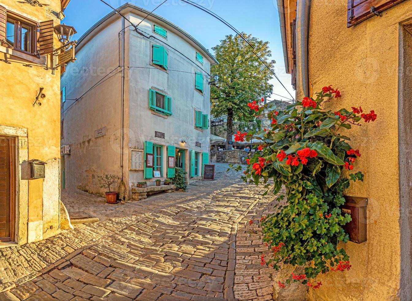 immagine di il romantico ciottolo accesso strada per il storico centro di il croato cittadina di motovun foto